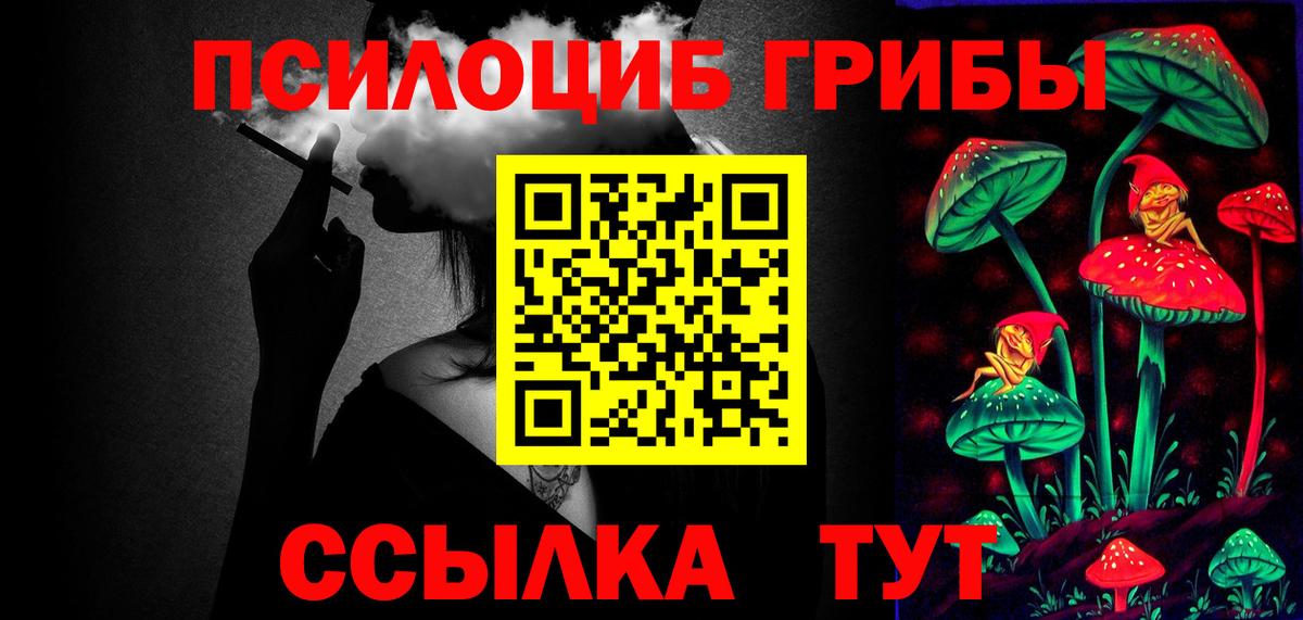 Назарово  Галлюциногенные грибы Psilocybe  Вход с VPN  Галлюциногенные грибы прущие грибы 
