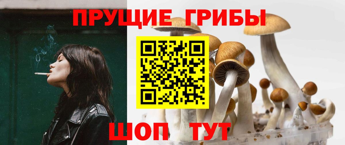 Псилоцибиновые грибы Cubensis Назарово